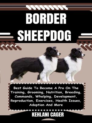 cover image of BORDER SHEEPDOG